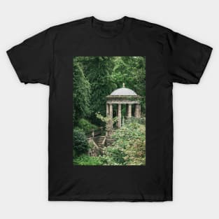 St Bernard's Well T-Shirt